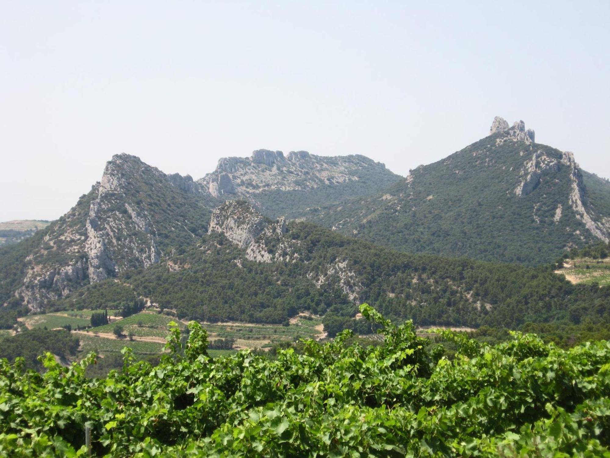 Tauleigne Villa Bollene Bagian luar foto